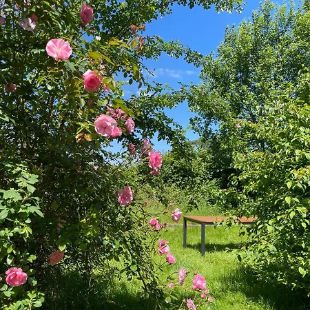 Σπίτι διακοπών Picturesque Getaway In Normandy